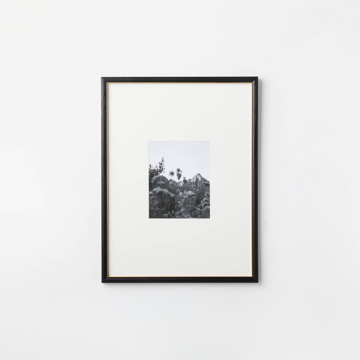 18" x 24" Matted to 8" x 10" Gallery Wall Frame Black/Brass - Threshold Designed with Studio McGee